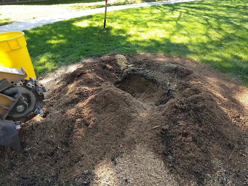 stump removal spokane
