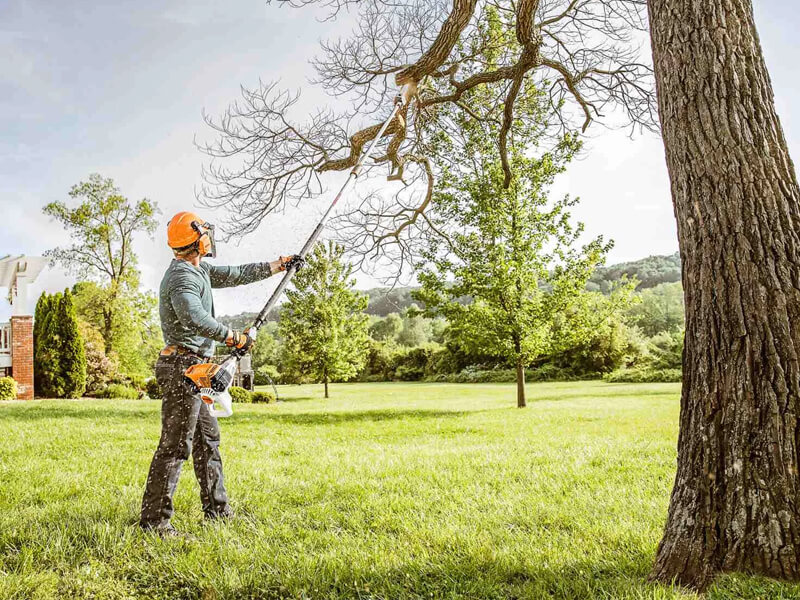 tree trimming services spokane